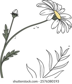  Minimalist illustration of a single daisy flower, perfect for prints, digital decor, and creative projects.