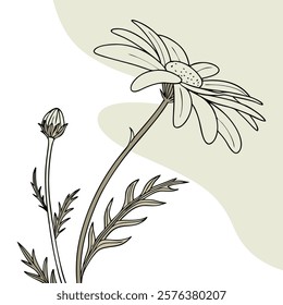  Minimalist illustration of a single daisy flower, perfect for prints, digital decor, and creative projects.