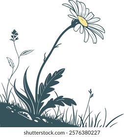  Minimalist illustration of a single daisy flower, perfect for prints, digital decor, and creative projects.