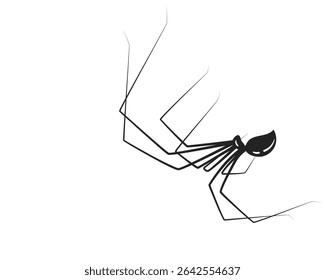 Minimalist illustration of a spider descending on thin strands. Symbolic of danger, fear, and the unexpected. Use for Halloween, web security, or edgy design.