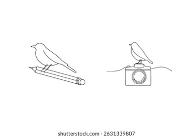Minimalist illustrations of birds perched on a pencil and a camera vector art