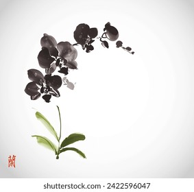 Pintura minimalista de tintas con orquídea de falaenopsis negra sobre fondo blanco. Tinta oriental tradicional sumi-e, u-sin, go-hua. Traducción de jeroglífico - orquídea.