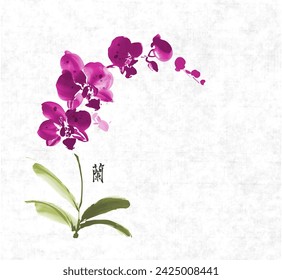 Pintura minimalista del lavado de la tinta con la orquídea rosada de la phalaenopsis sobre fondo de papel de arroz. Tinta oriental tradicional pintura sumi-e, u-sin, go-hua. Traducción de jeroglyph - orchid.