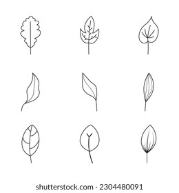 Minimalist leaf collection. Hand drawn branch, leaves herbs and wild plants set in line style.