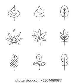 Minimalist leaf collection. Hand drawn branch, leaves herbs and wild plants set in line style.