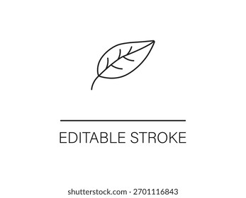 Minimalist leaf icon on white for organic brands and eco friendly designs, simple natural aesthetic for wellness and sustainable living.