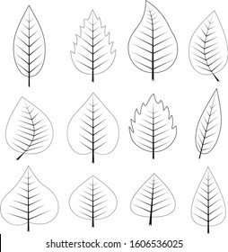 Minimalist leaf icon set. Different Leaves collection outline vector illustration. leaves with line hand drawing style
