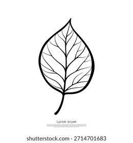Ilustração em folha minimalista com um contorno distinto e veias internas proeminentes, oferecendo um elemento gráfico limpo e orgânico.