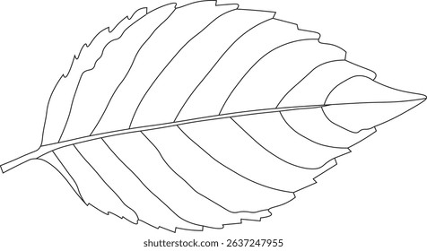 Minimalist leaf outline artwork in clean, elegant line style. Ideal for nature-themed design, decor, and eco-friendly branding.