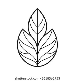 Minimalist Leaf Outline on White Background Modern Nature Art