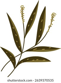 Minimalist leaf set, leaf illustration