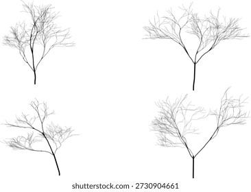 Conjunto de ilustração vetorial de árvore sem folhas minimalista isolado no fundo branco. Projeto detalhado de ramos de árvores nus representando a estação de inverno, natureza, estrutura de crescimento e formas orgânicas. Ideal para fundos, cartazes, conceitos ambientais, ilustrações, projetos de design gráfico, estampas, educação e uso comercial. Estilo de arte de linha preta limpa adequado para projetos modernos e criativos.