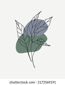 Minimalist leaves background Floral Vector