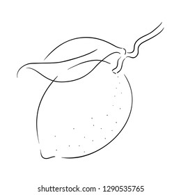 Minimalist Lemon Black and White Illustration