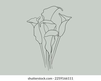 Arte minimalista que califica las flores de fondo verde. Dibujo del ramo de Callas. Ilustración de vector de contorno