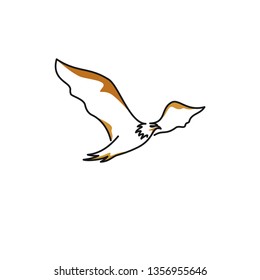 minimalist line art eagle logo designs vector, colorful animal logo designs concept