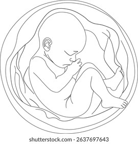 Minimalist line art of a fetus in the womb, symbolizing pregnancy, motherhood, and prenatal life. Clean, elegant design ideal for medical, maternity, or educational visuals.