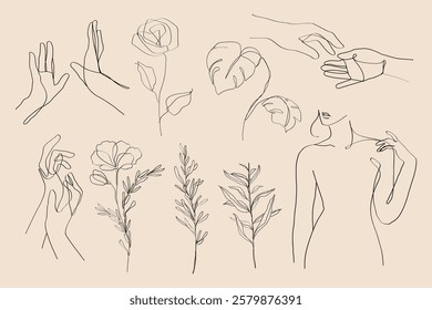 Minimalist line art of hands, flowers, and leaves. Elegant hands, delicate flowers, and graceful leaves in simple line art. Artistic line art of nature and hands. Spring illustrations, vector set.