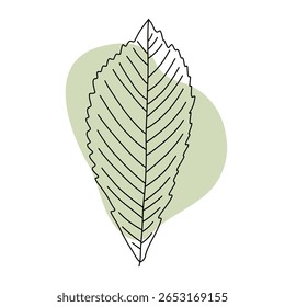 Ilustração minimalista da arte da linha de uma folha alongada com bordas serrilhadas e uma forma de fundo verde claro suave. Design limpo fresco perfeito para a natureza, crescimento e projetos ecológicos elegantes.