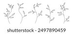A minimalist line art illustration of five leafy branches with slender stems, showcasing botanical elegance on a white background.