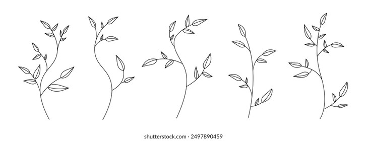 A minimalist line art illustration of five leafy branches with slender stems, showcasing botanical elegance on a white background.