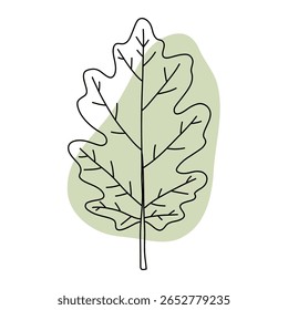 Ilustração minimalista da arte da linha de uma folha de carvalho verde com uma luz suave forma verde no fundo. Design fresco e limpo, perfeito para temas de primavera, projetos de natureza, crescimento e eco-friendly conce