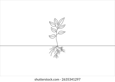 Minimalist line art illustration of plant showing roots and above ground leaves