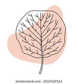 Minimalist line art illustration of a round leaf with a soft light pink background shape. Clean modern design highlighting natural simplicity, perfect for nature themes, elegant projects, and contempo