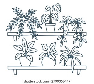 A minimalist line art illustration of two shelves with six potted plants in dark blue on a white background