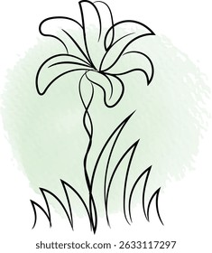 Minimalist line art of a lily flower with a light green watercolor background.