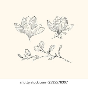 Arte lineal minimalista de flores de magnolia y una rama frondosa. Ideal para diseños botánicos y decoración