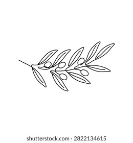 Minimalist Line Art Olive Branch Illustration