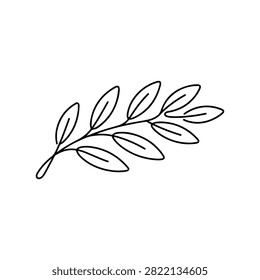 Minimalist Line Art Olive Leaf Branch Illustration