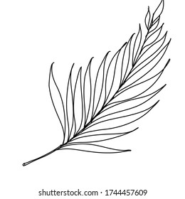 Minimalist Line Art Palm Leaf Book Stock Vector (Royalty Free ...