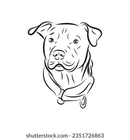 Minimalist line art of pitbull, pets illustration