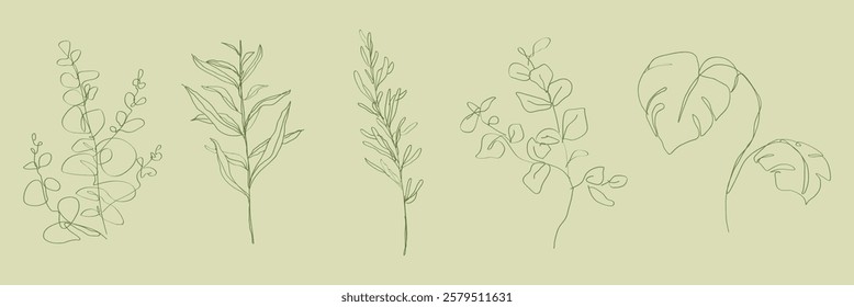 Minimalist line art of plants on a light background. Delicate plant line art with elegant simplicity. Nature-inspired line art for decor. Doodle illustrations, vector set.