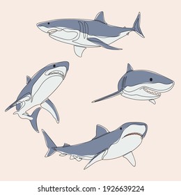 minimalist line art style bundle four shark fish illustration and one line art. creative for wall decoration, postcard or brochure cover design and cover book .editable and suitable for templates.