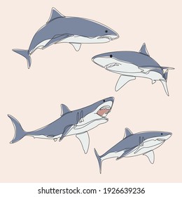 minimalist line art style bundle four shark fish illustration and one line art. creative for wall decoration, postcard or brochure cover design and cover book .editable and suitable for templates.