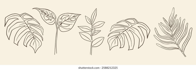 Minimalist line art of tropical leaves. Simple leaf designs in a linear style. Tropical leaves in minimalist form, showcasing elegant line art of foliage. Nature illustrations, isolated vector set.