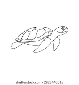 Minimalist Line Art Turtle Illustration