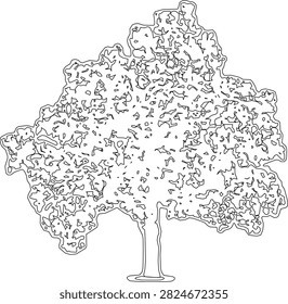 A minimalist line of a deciduous tree with a base line on a white background....