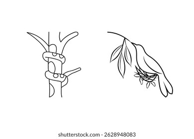 Minimalist line drawing depicting tree branch with bird nest and decorative snake