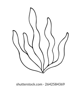 Minimalist line drawing of flowing seaweed. Hand-drawn marine plant silhouette perfect for ocean-themed designs, coloring pages, or nature-inspired illustrations.
