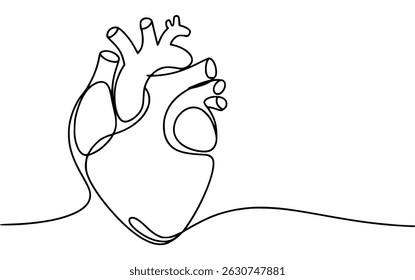 Minimalist line drawing of a human heart