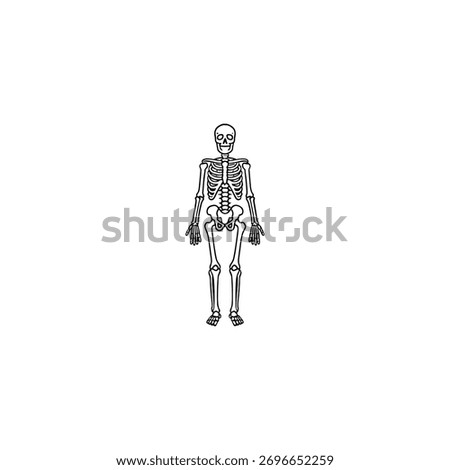 A minimalist line drawing of a human skeleton standing against a white background.