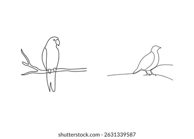 Minimalist line drawing of a parrot and a dove perched on a branch