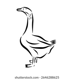 A minimalist line drawing portrays a goose with its distinct long neck and sturdy body, rendered with graceful strokes against a simple white background.
