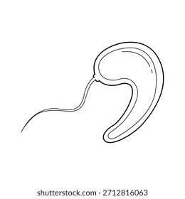Um desenho de linha minimalista mostra um microrganismo microscópico monocelular, provavelmente um protozoário ou espermatozoide. Tem corpo curvo e flagelo ondulado longo, útil para a educação biológica.