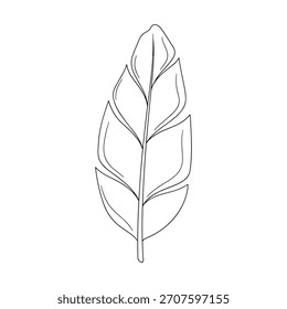 A minimalist line drawing of a single, stylized leaf with visible veins.