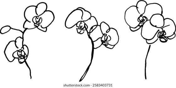 A minimalist line drawing of three orchid flowers, showcasing their elegant shapes and delicate features. The design emphasizes simplicity and artistic expression.